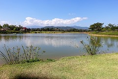 singha park (10)
