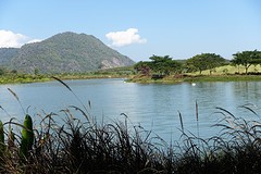 singha park (13)