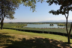 singha park (15)