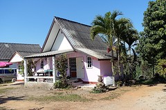 snoezig