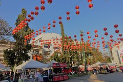 bloemenfestival chiang rai (5)