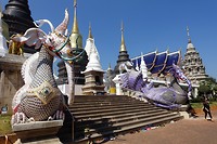 bij de tempel (8)