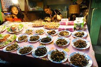 alles wat beweegt en kriebelt (1)