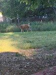 Uitzicht vanuit de tent om 6 uur