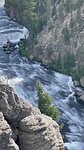 Juli 15 Lewis River Yellowstone