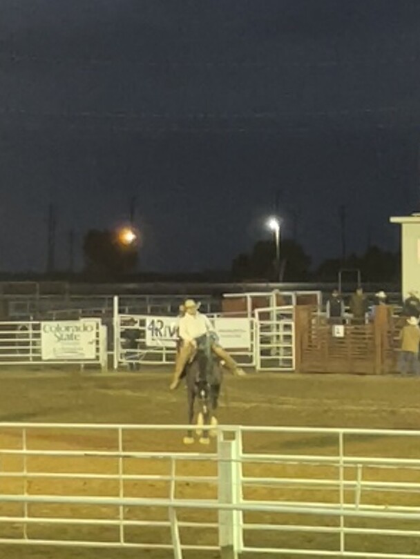 Rodeo