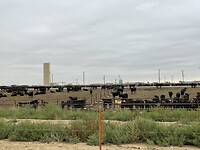 Boerderij