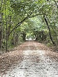 Katy Trail