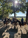 Paard rijden met het gezin