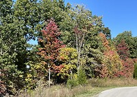 Herfst