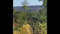 Rough River State Park