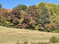 Herfst