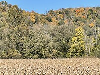 Herfstkleuren