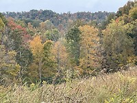Herfst
