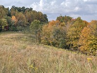 Herfst