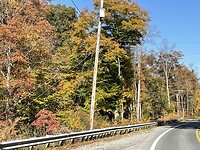 Herfst