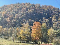Herfst