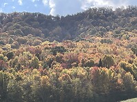Herfst