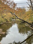Herfst