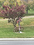 Fietsen