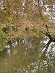 Herfst