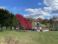 Herfst