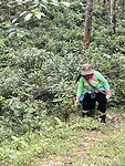 0C3C5277-9F87-4C6D-BDB7-3104870FD9A3