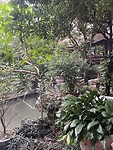 45F37E41-E259-49CF-BD6E-0851915A28EE