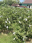 07104F92-1CA8-49CA-A8B4-7F8B77AE57F4