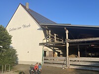 IMG_6681