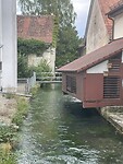IMG_6677