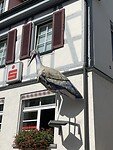 IMG_6670