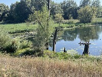 IMG_6766