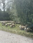 IMG_6772