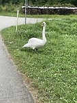 IMG_6795