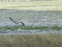 IMG_6828