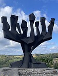 IMG_6814