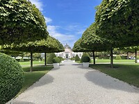 IMG_6849