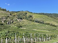 IMG_6856