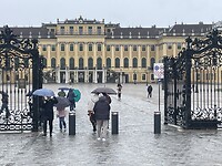 IMG_6883