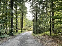 IMG_6955