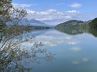 IMG_6952