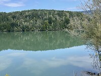 IMG_6951