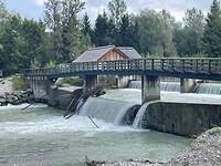 IMG_6959