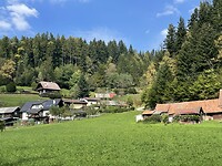 IMG_6987