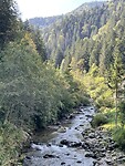 IMG_6984