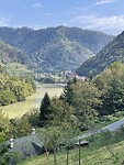 IMG_6982