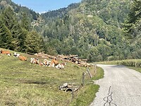 IMG_6980