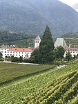 IMG_7041