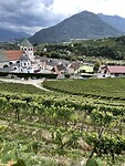 IMG_7036